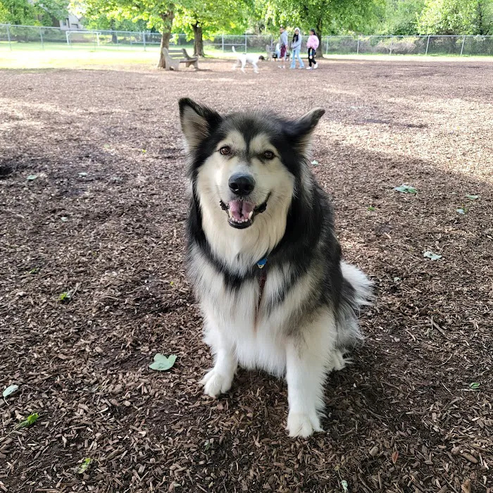 Donaldson Dog Park 8