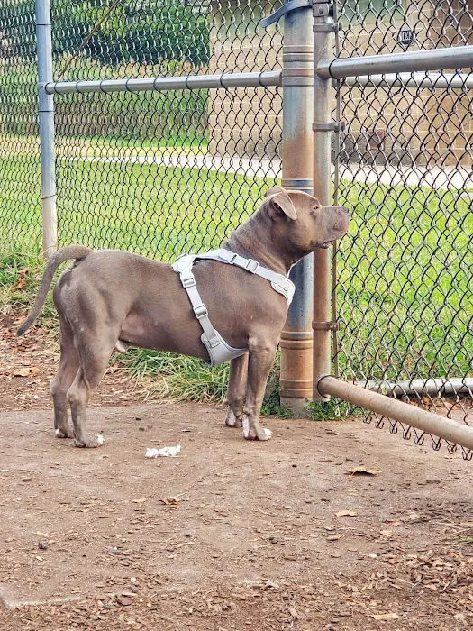 Donaldson Dog Park 9