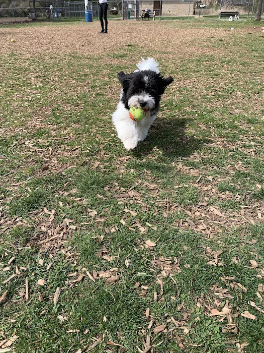 Donaldson Dog Park 10