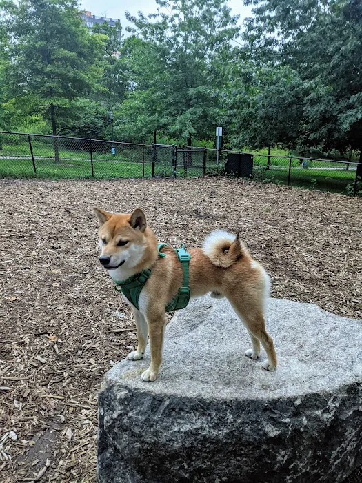 Franz Sigel Dog Run 8