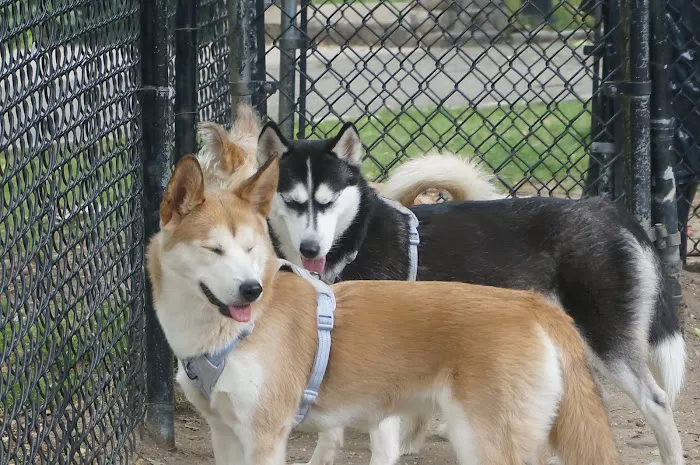 Franz Sigel Dog Run 10