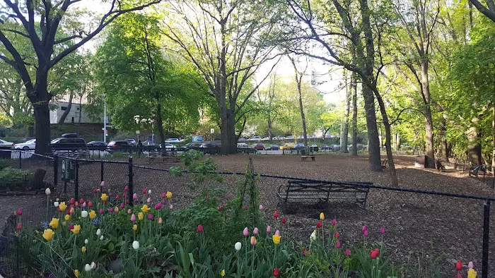 Rocky's Dog Run 6