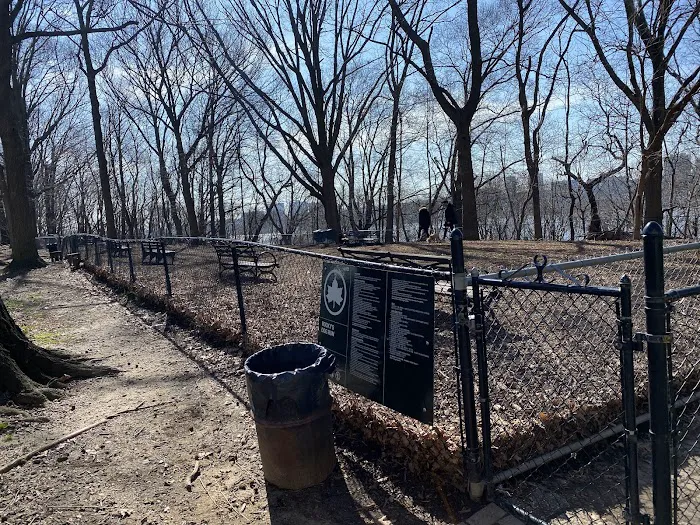 Rocky's Dog Run 5
