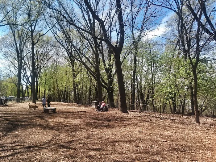 Rocky's Dog Run 8