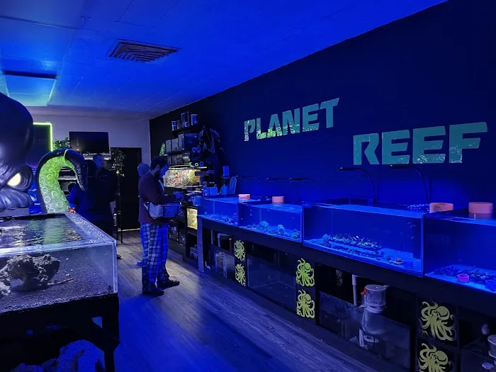 planet reef 10