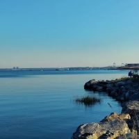Pelham Bay Dog Run ico