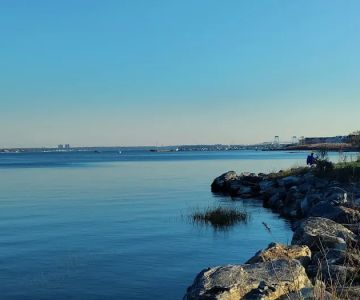 Pelham Bay Dog Run