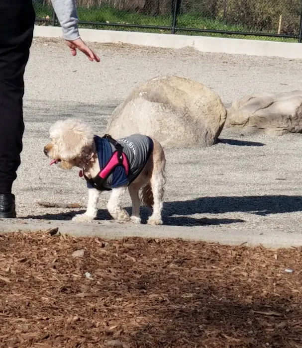 Pelham Bay Dog Run 4