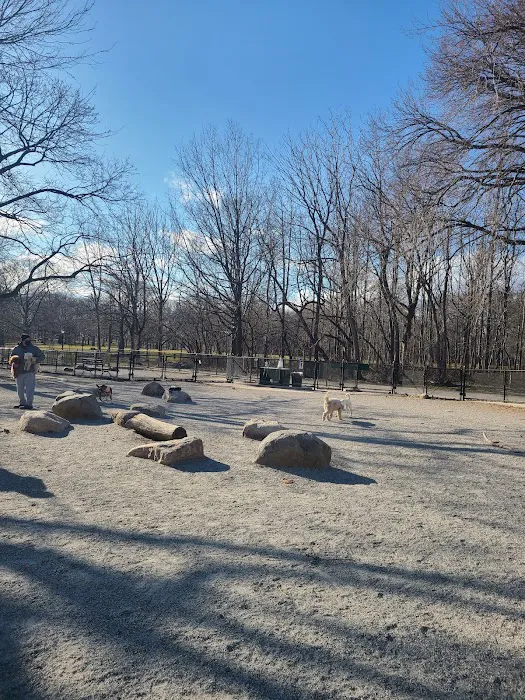 Pelham Bay Dog Run 9
