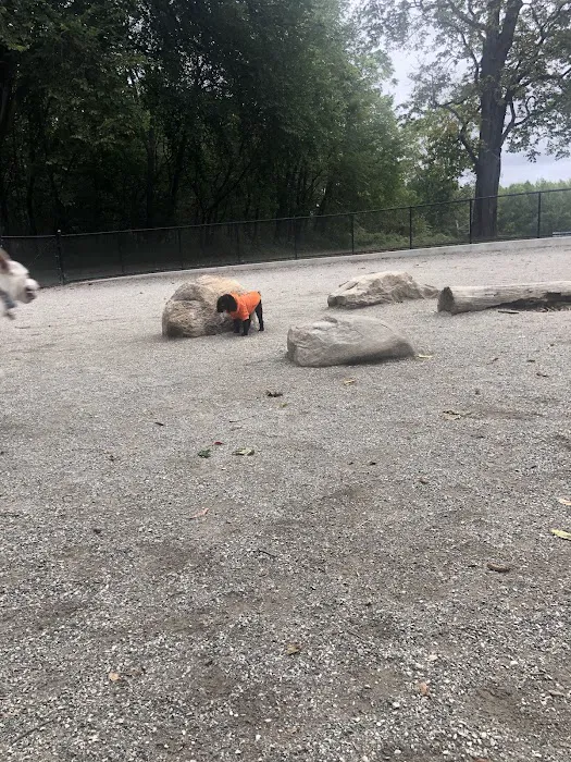 Pelham Bay Dog Run 5