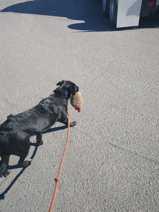 Happy Tails 2