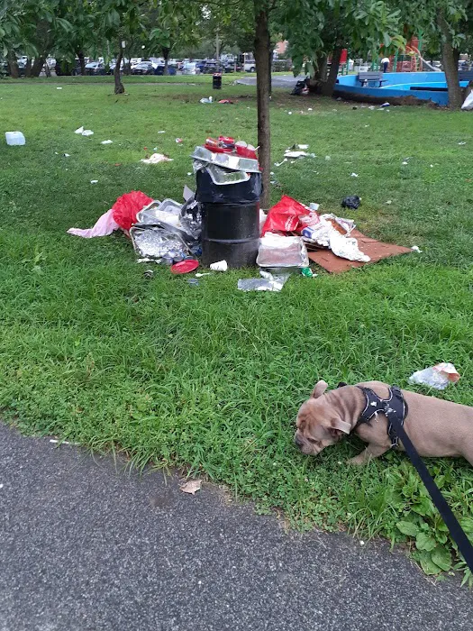 Soundview Park Dog Run 5