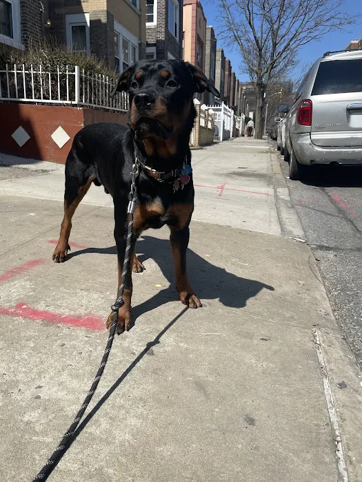 Soundview Park Dog Run 4