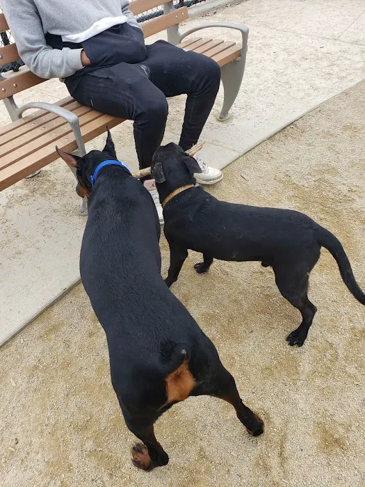 Soundview Park Dog Run 9