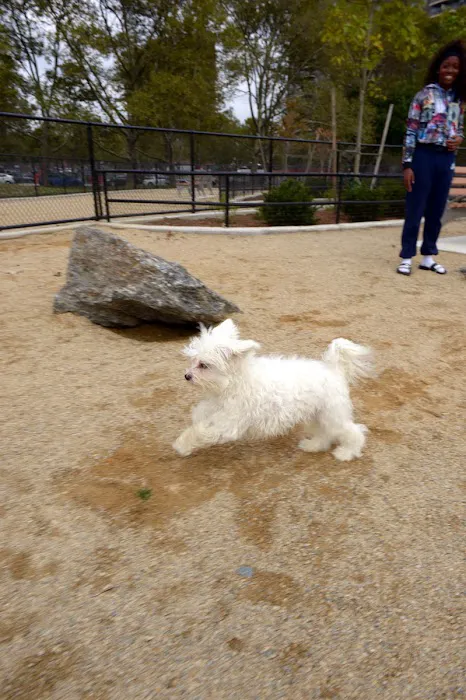 Soundview Park Dog Run 7