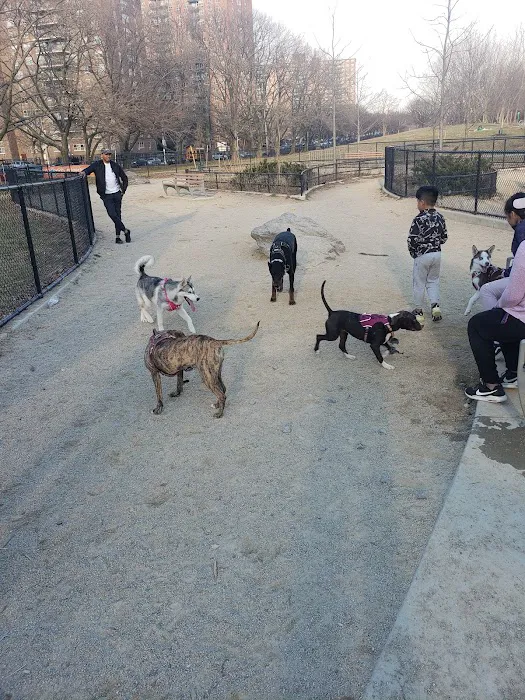 Soundview Park Dog Run 10