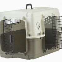 One stop labrador pet shop ico
