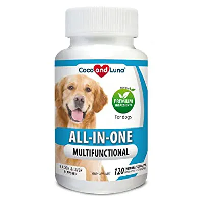 One stop labrador pet shop 6