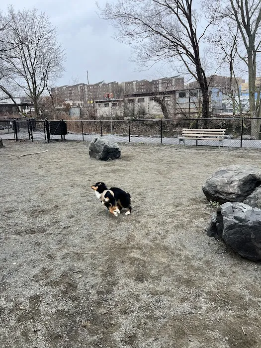 Starlight Park Dog Run 8