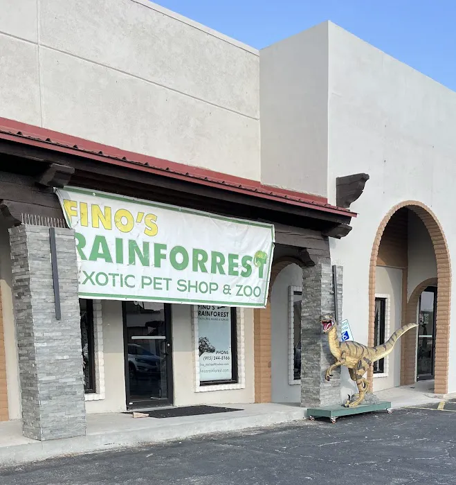 Fino's Rainforest 1