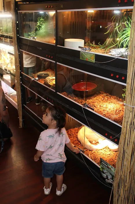 Fino's Rainforest 2