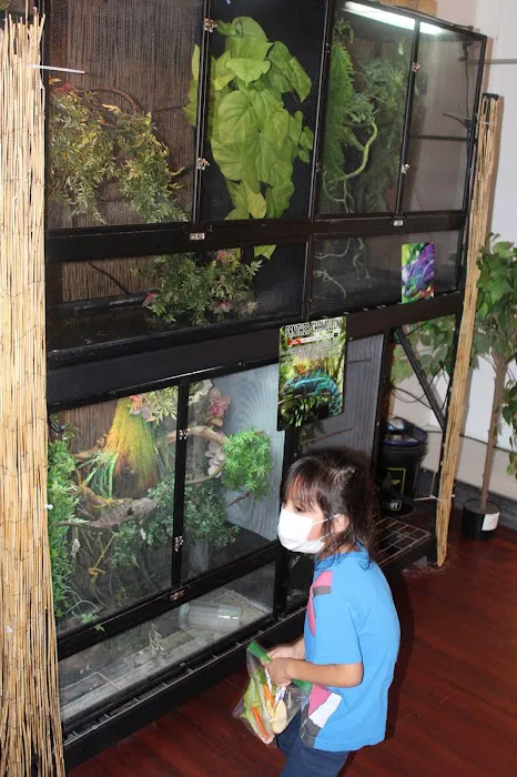 Fino's Rainforest 5