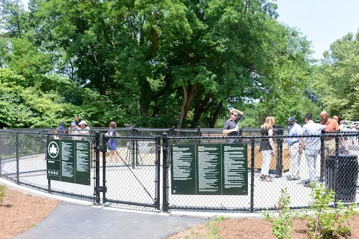 Bronx River Park Dog Run 3