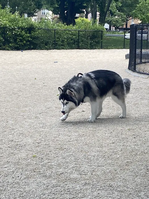 Bronx River Park Dog Run 1