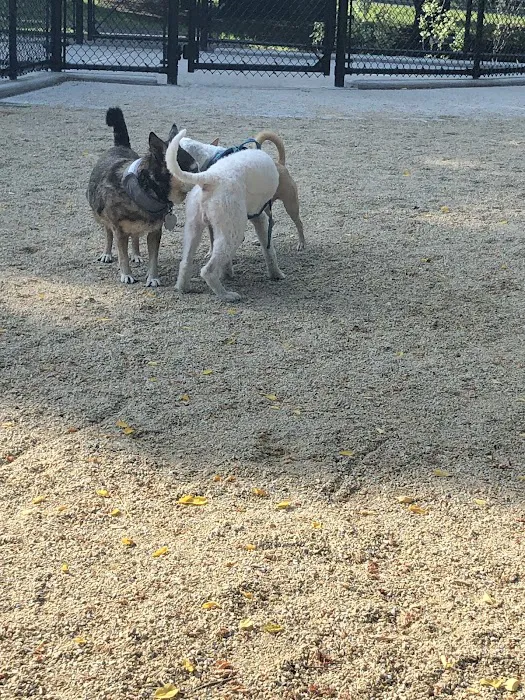 Bronx River Park Dog Run 6