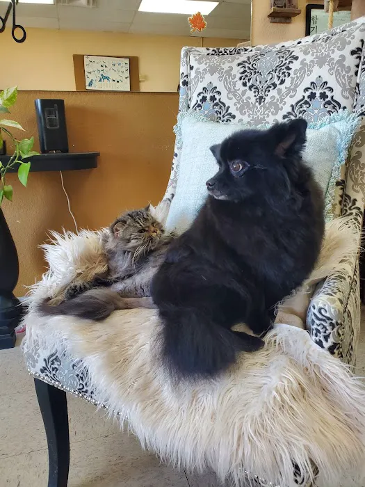 Paul's Pet Grooming 5