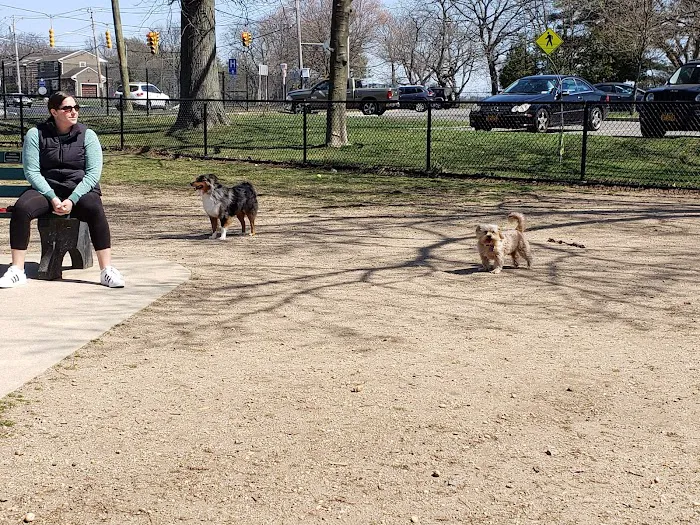 Eisenhower Dog Park 2