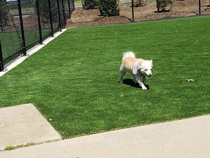 Eisenhower Dog Park 1