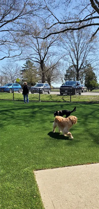 Eisenhower Dog Park 4