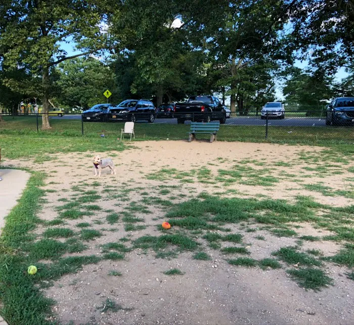 Eisenhower Dog Park 6