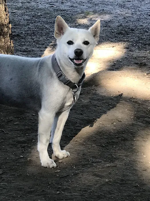 Eisenhower Dog Park 5