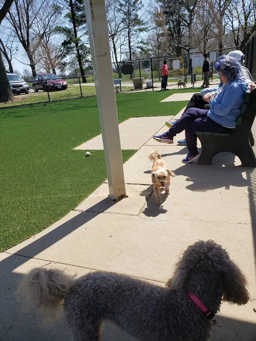 Eisenhower Dog Park 7