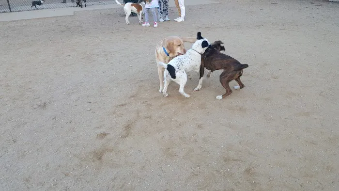 Eisenhower Dog Park 9