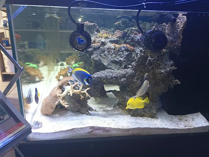 AquaLife 4