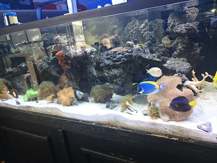 AquaLife 3
