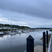 Garvies Point Dog Park ico