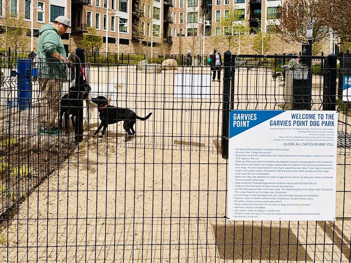 Garvies Point Dog Park 4