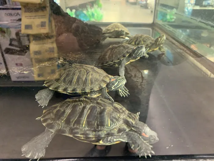 Petco 1