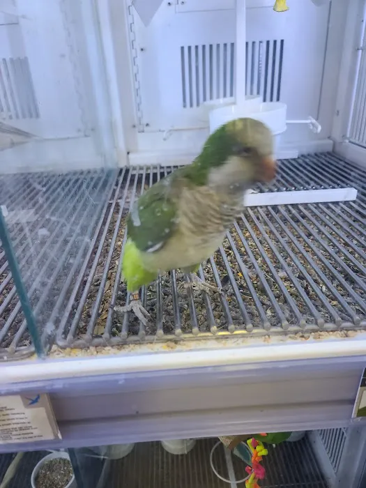Petco 4