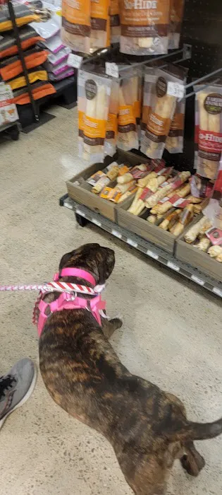 Petco 5