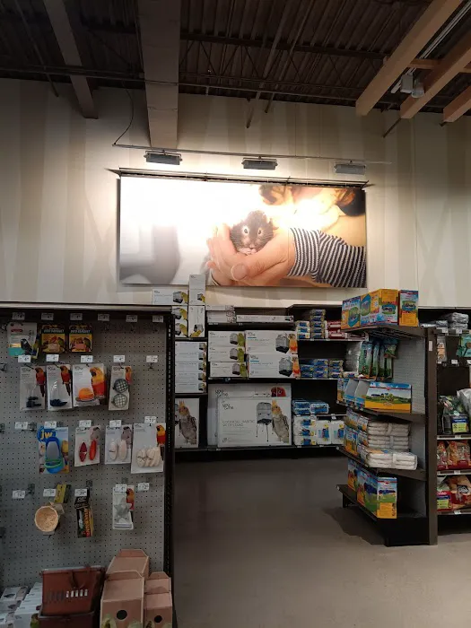 Petco 8