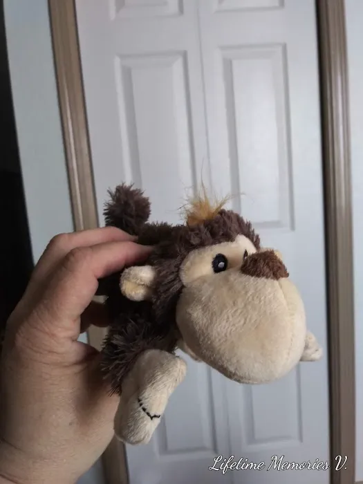 Petco 9