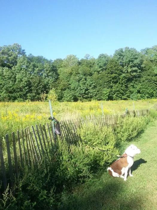 Dennis Brian Murray Dog Park 1