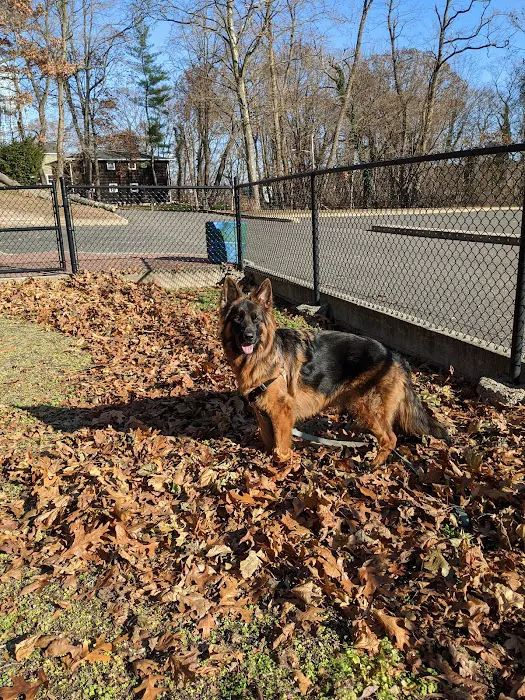 Dennis Brian Murray Dog Park 3
