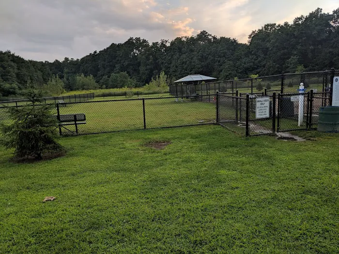 Dennis Brian Murray Dog Park 2