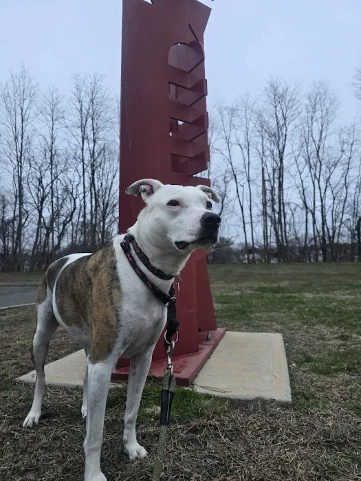 Dennis Brian Murray Dog Park 5